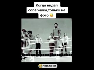 video by prikoldesy